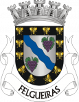 Brasão do concelho de Felgueiras