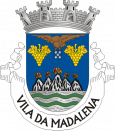 Brasão do concelho de Madalena