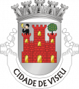 Brasão do concelho de Viseu