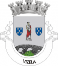 Brasão do concelho de Vizela