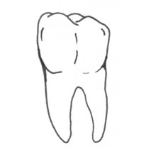 Logotipo de Clínica Dentária Dr.Marcelo Nakamura, Unipessoal Lda.